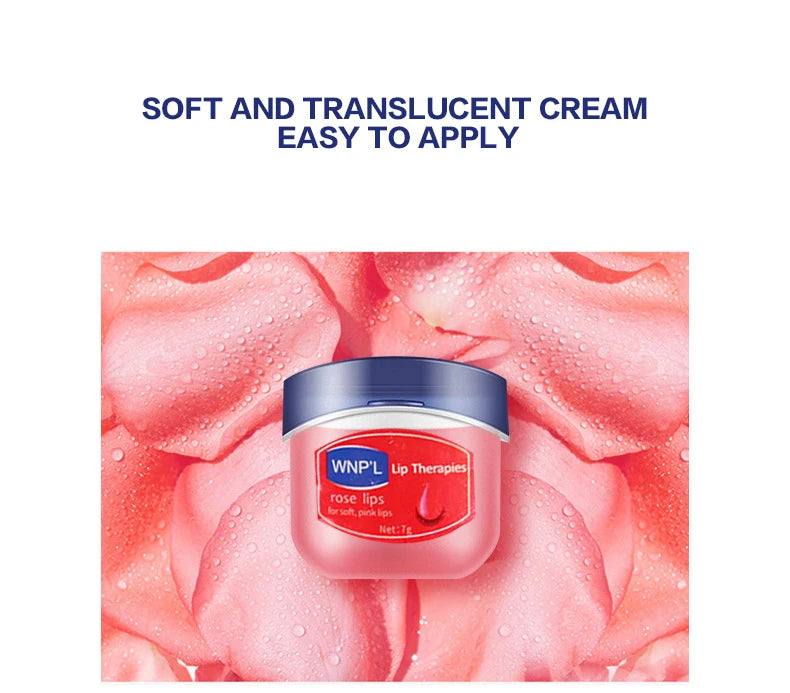 4/6/8pcs Moisturizing Lip Balm  Lip Care Jelly Moisturizer